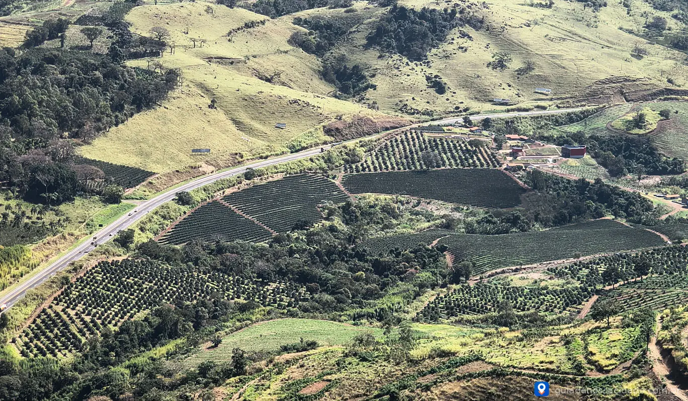 Fazenda Vale do Tajá: Terroir Vulcânico, História e Inovação no Coração da Produção de Café Especial